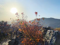 -香山公园