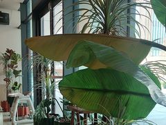 -海泰食府·新鲁菜·家宴(总部基地店)