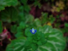 -苏州河梦清园环保主题公园