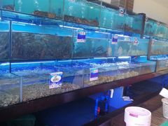 水产区-南海渔家•海鲜•正宗海南菜(海棠湾店)
