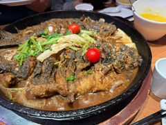 -老板恋上鱼(恒隆广场店)