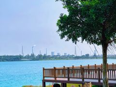 -露天矿生态公园