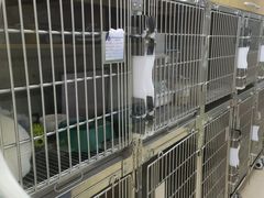 -芭比堂动物医院广州顽皮分院
