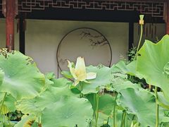 -上海醉白池公园