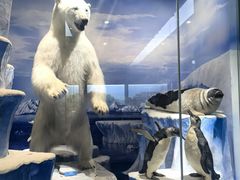 -国家自然博物馆