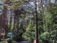 -黑龙江省森林植物园