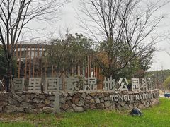-同里国家湿地公园