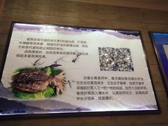 -射阳海鲜城(盐城店)