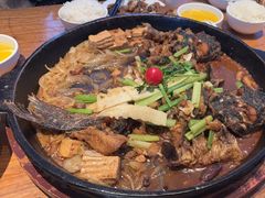 -老板恋上鱼(恒隆广场店)