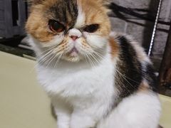 -猫岛主趣味餐厅(鼓浪屿店)