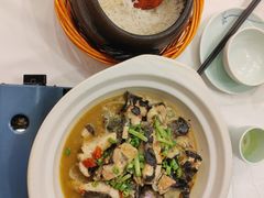 -饭怕鱼·黄焖鲟龙鱼(湖大店)