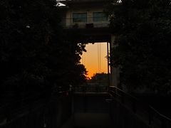 -小洲村
