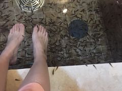 -中家鑫园温泉酒店鑫悦汤泉