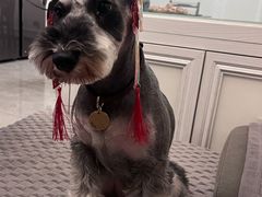 -心仪动物医院·牙专科·肿瘤·心脏科(西客站院)