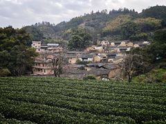 -杨家堂村