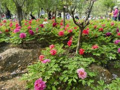 -太阳宫公园