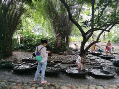 -成都市活水公园