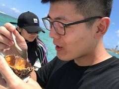 -塞尔夫岛