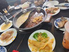 -秦巴石锅鱼(文化南路店)