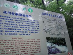 -野三坡百草畔景区