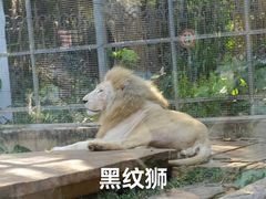 -南宁市动物园