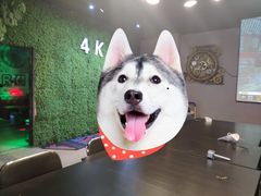 -4k轰趴馆(中关村店)