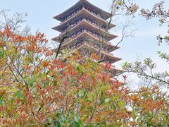 -牛首山文化旅游区