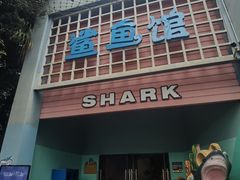 -海合安成都极地海洋公园