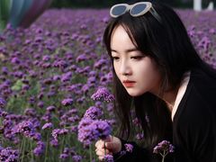 -紫海香堤香草艺术庄园