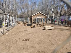 -长白岛森林公园