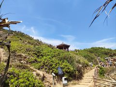 -鹿嘴山庄