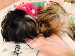 -浣熊柯尔鸭土拨鼠·电玩咖