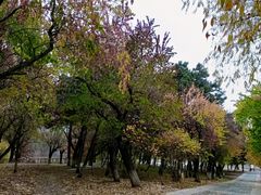 -长春世界雕塑园冰雪艺术天地