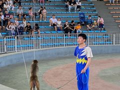 -石家庄市动物园