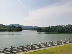 -佛手湖郊野公园