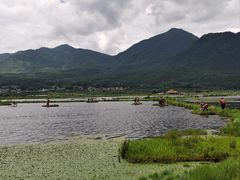 -腾冲北海湿地