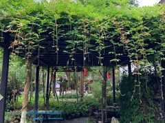 -桂林古东瀑布景区