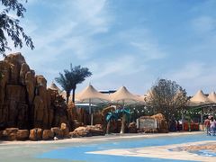 -海盗传奇水世界