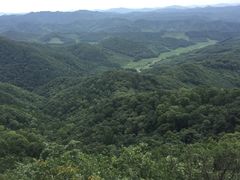 -天女山森林公园