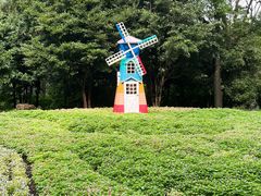 -上海共青森林公园