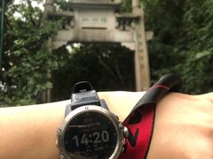 -梧桐山风景名胜区