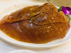 -九花山烤鸭店