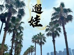 -金沙湖公园