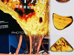 -广东省博物馆