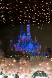 -迈瑞米求婚策划(静安店)