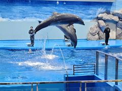 -福州罗源湾海洋世界旅游区