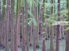 -南昌青山湖风景区