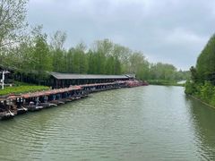 -溱湖国家湿地公园