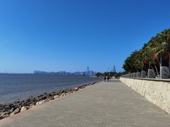 -深圳湾公园(南山区)