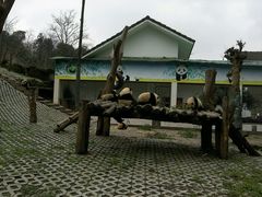 android_upload_pic-碧峰峡风景区